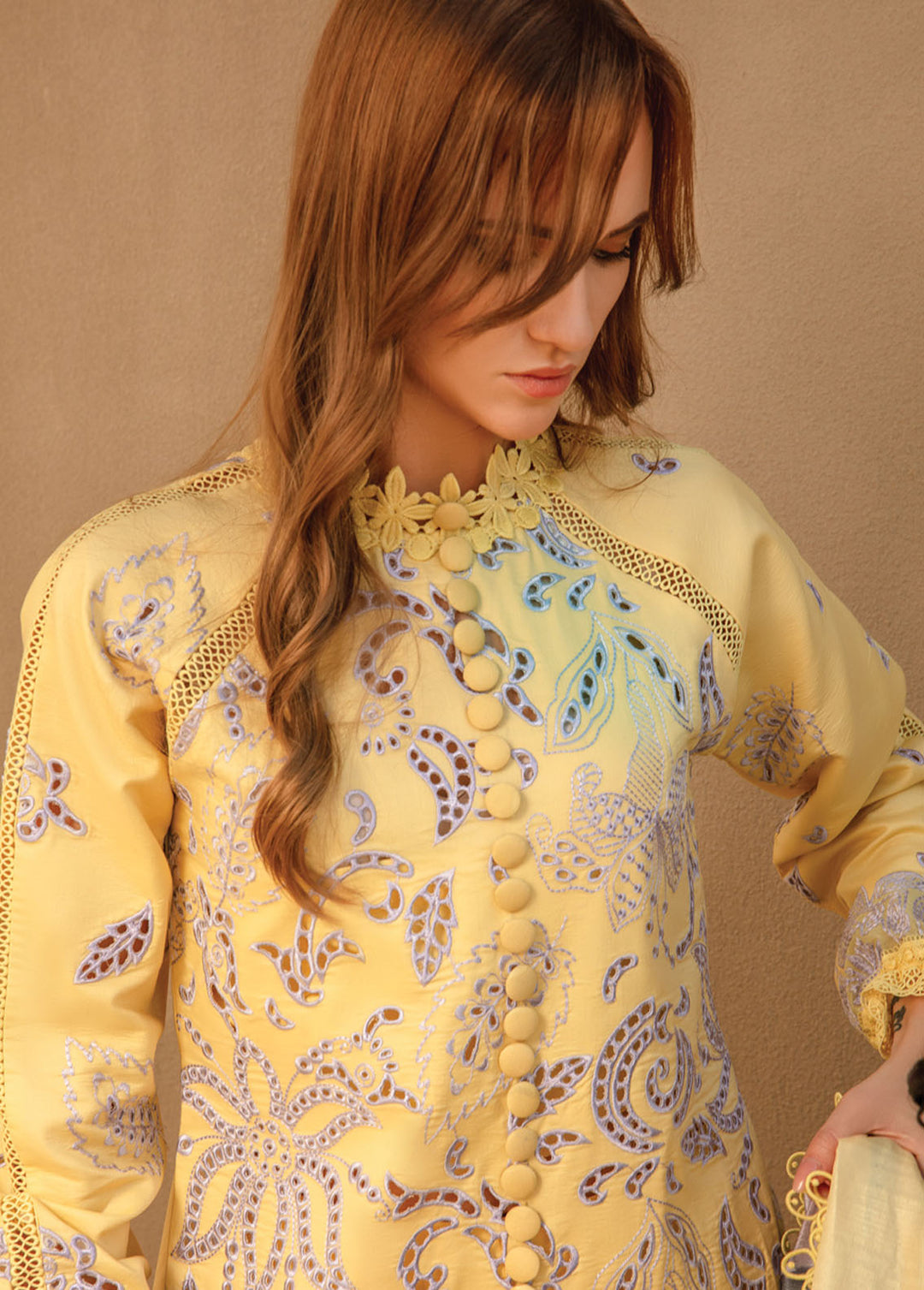 Carnation By Rang Rasiya Embroidered Lawn Suits Unstitched 3 Piece RR24C D-06 - Summer Collection