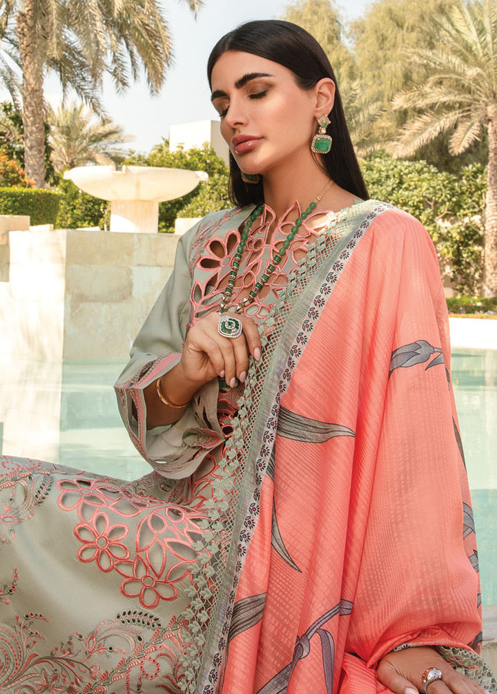 Carnation By Rang Rasiya Embroidered Lawn Suits Unstitched 3 Piece RR24C D-07 - Summer Collection