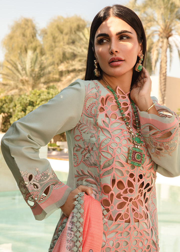 Carnation By Rang Rasiya Embroidered Lawn Suits Unstitched 3 Piece RR24C D-07 - Summer Collection