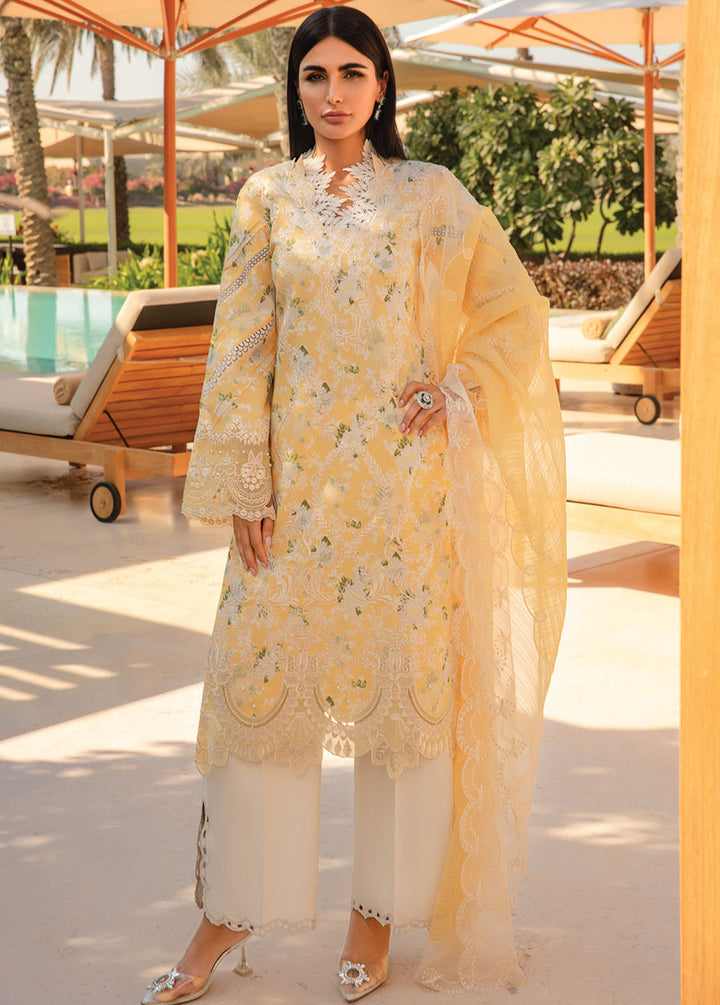 Carnation By Rang Rasiya Embroidered Lawn Suits Unstitched 3 Piece RR24C D-08 - Summer Collection