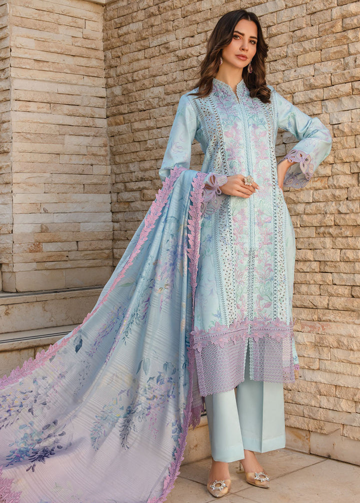 Carnation By Rang Rasiya Embroidered Lawn Suits Unstitched 3 Piece RR24C D-09 - Summer Collection
