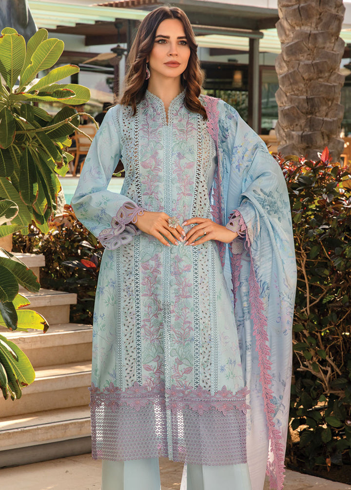 Carnation By Rang Rasiya Embroidered Lawn Suits Unstitched 3 Piece RR24C D-09 - Summer Collection