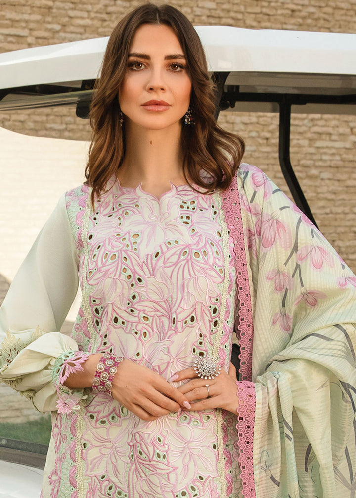 Carnation By Rang Rasiya Embroidered Lawn Suits Unstitched 3 Piece RR24C D-10 - Summer Collection