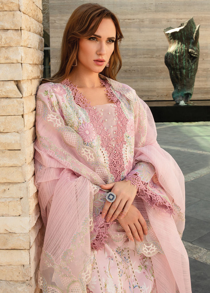 Carnation By Rang Rasiya Embroidered Lawn Suits Unstitched 3 Piece RR24C D-11 - Summer Collection