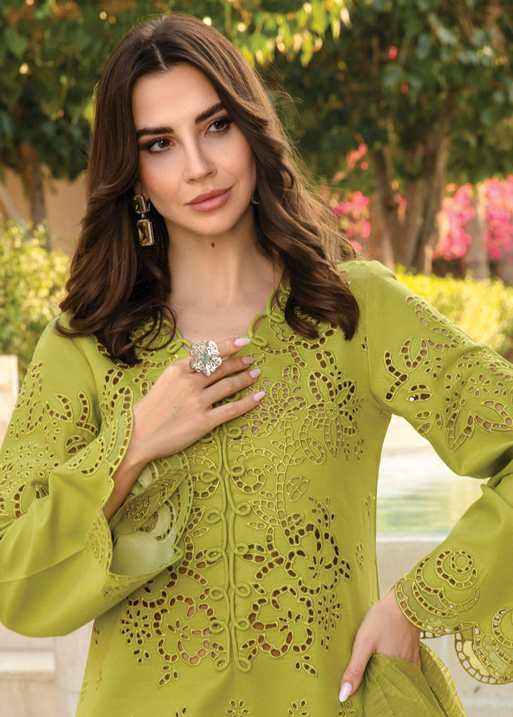 Carnation By Rang Rasiya Embroidered Lawn Suits Unstitched 3 Piece RR24C D-13 - Summer Collection