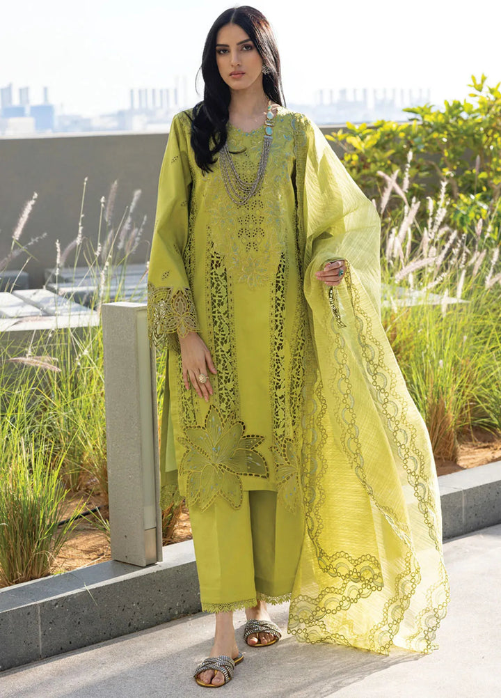 Carnation by Rang Rasiya Embroidered Lawn Suits Unstitched 3 Piece RR25CS D-02 Aaleen - Summer Collection