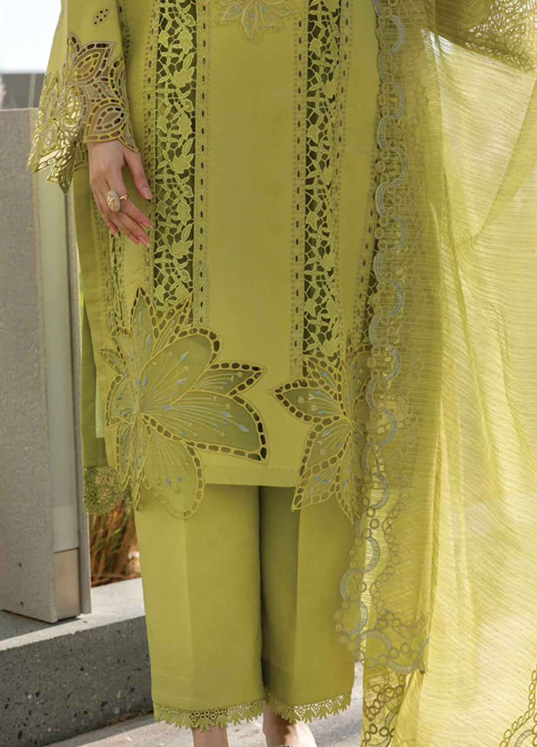 Carnation by Rang Rasiya Embroidered Lawn Suits Unstitched 3 Piece RR25CS D-02 Aaleen - Summer Collection