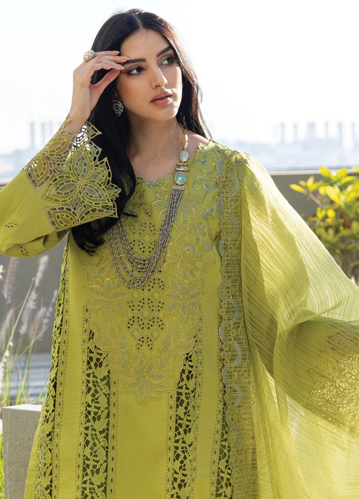 Carnation by Rang Rasiya Embroidered Lawn Suits Unstitched 3 Piece RR25CS D-02 Aaleen - Summer Collection