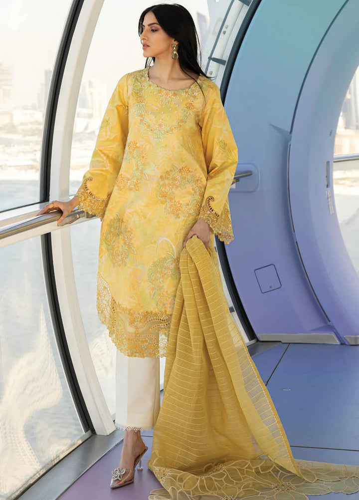 Carnation by Rang Rasiya Embroidered Lawn Suits Unstitched 3 Piece RR25CS D-03 Liana - Summer Collection