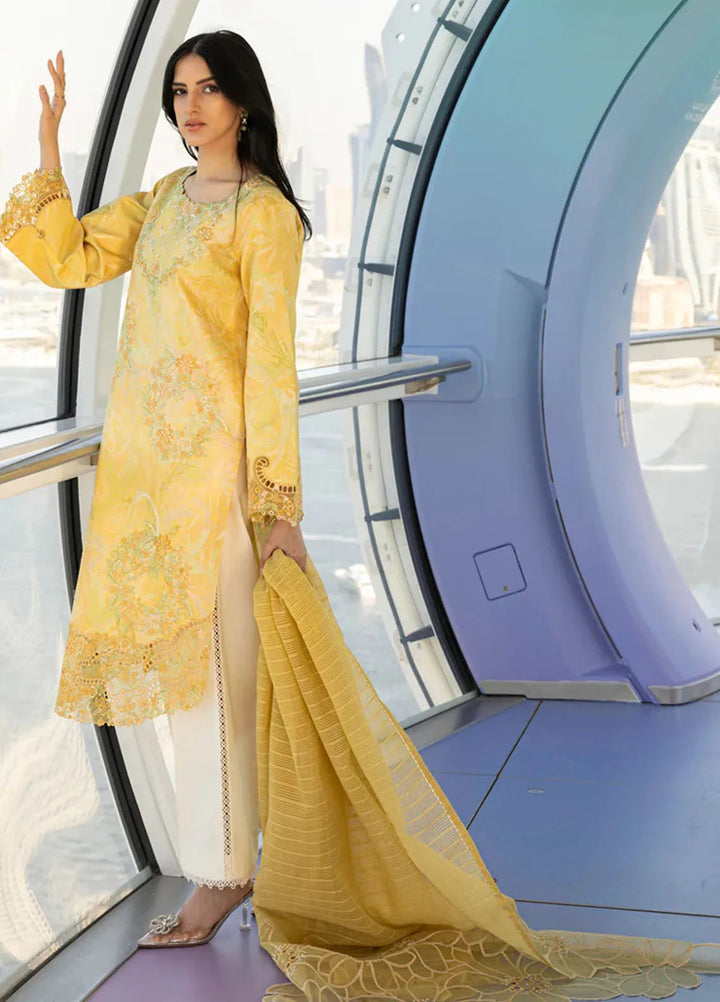 Carnation by Rang Rasiya Embroidered Lawn Suits Unstitched 3 Piece RR25CS D-03 Liana - Summer Collection