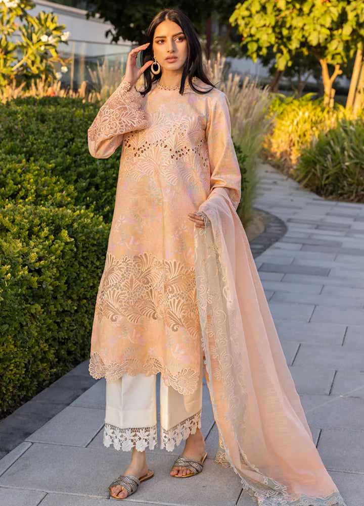 Carnation by Rang Rasiya Embroidered Lawn Suits Unstitched 3 Piece RR25CS D-04 Zinnia - Summer Collection