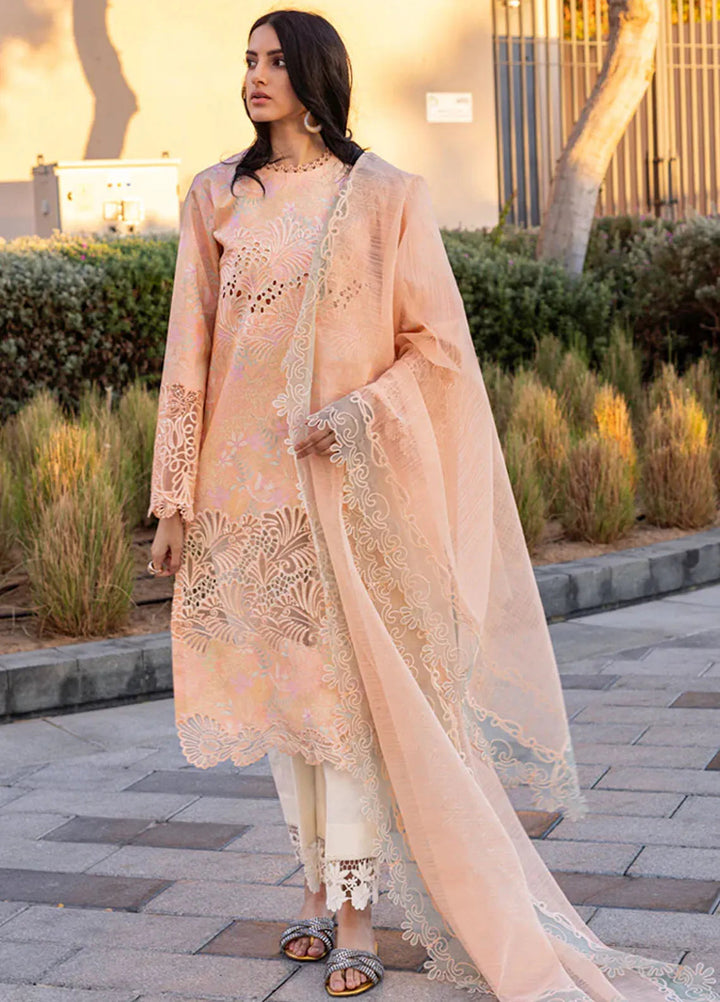 Carnation by Rang Rasiya Embroidered Lawn Suits Unstitched 3 Piece RR25CS D-04 Zinnia - Summer Collection
