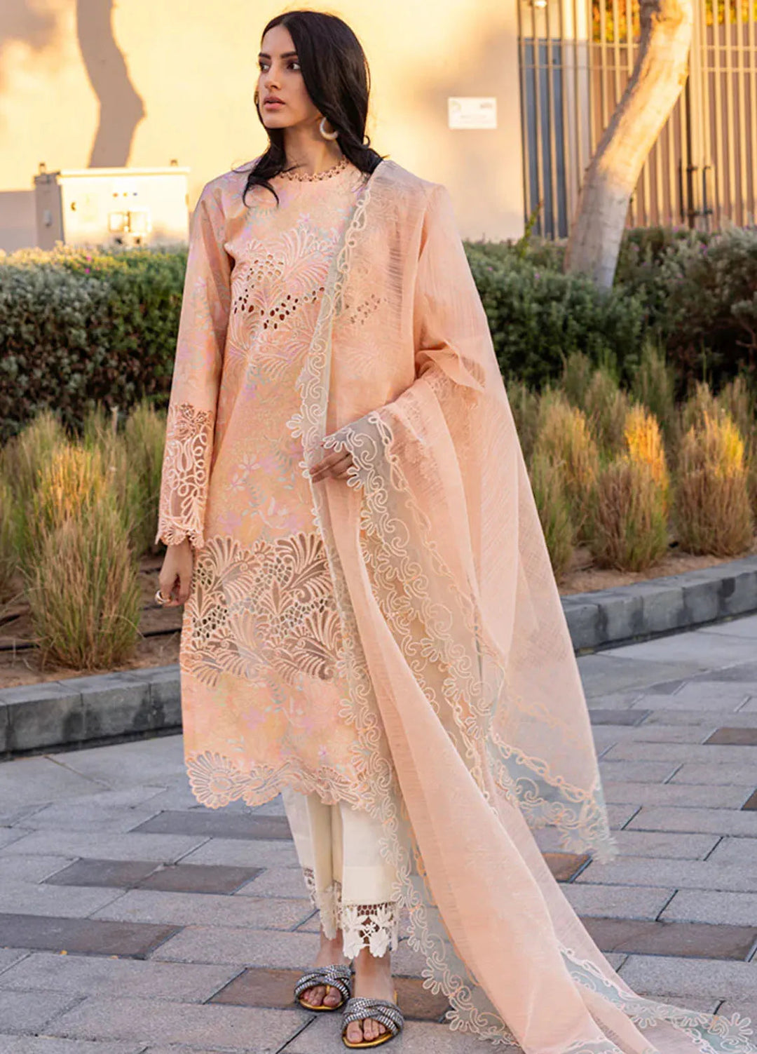 Carnation by Rang Rasiya Embroidered Lawn Suits Unstitched 3 Piece RR25CS D-04 Zinnia - Summer Collection