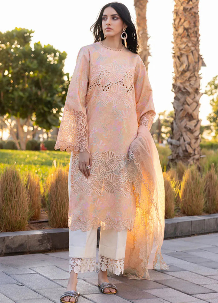 Carnation by Rang Rasiya Embroidered Lawn Suits Unstitched 3 Piece RR25CS D-04 Zinnia - Summer Collection