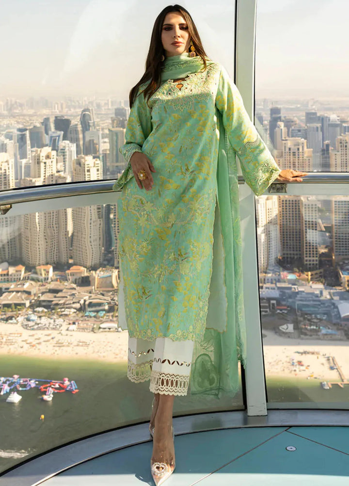 Carnation by Rang Rasiya Embroidered Lawn Suits Unstitched 3 Piece RR25CS D-06 Bella - Summer Collection