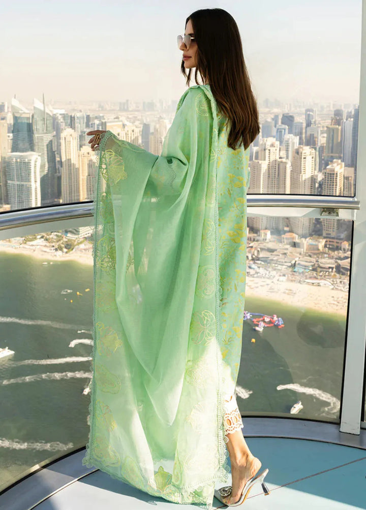 Carnation by Rang Rasiya Embroidered Lawn Suits Unstitched 3 Piece RR25CS D-06 Bella - Summer Collection