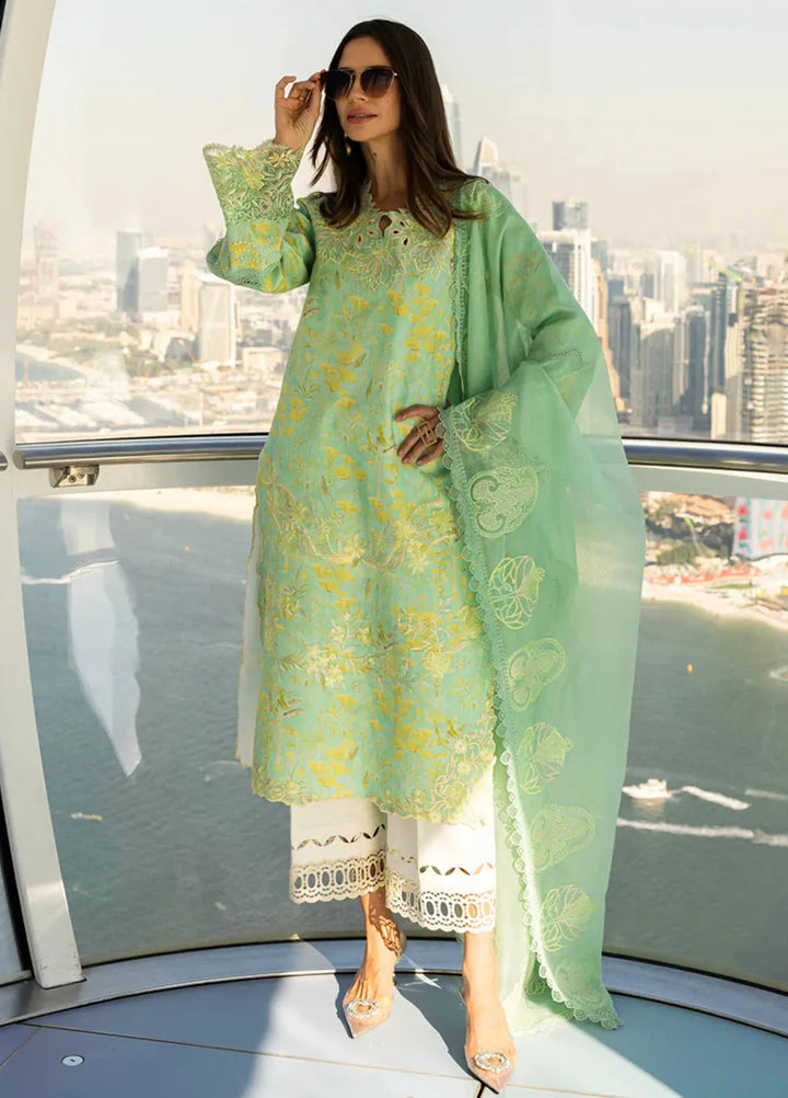 Carnation by Rang Rasiya Embroidered Lawn Suits Unstitched 3 Piece RR25CS D-06 Bella - Summer Collection