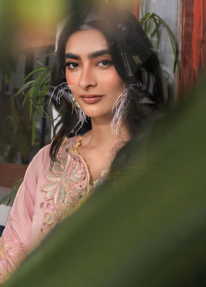 Carnation by Rang Rasiya Embroidered Lawn Unstitched Suits 3 Piece RR25CL D-03 Irha - Festive Collection