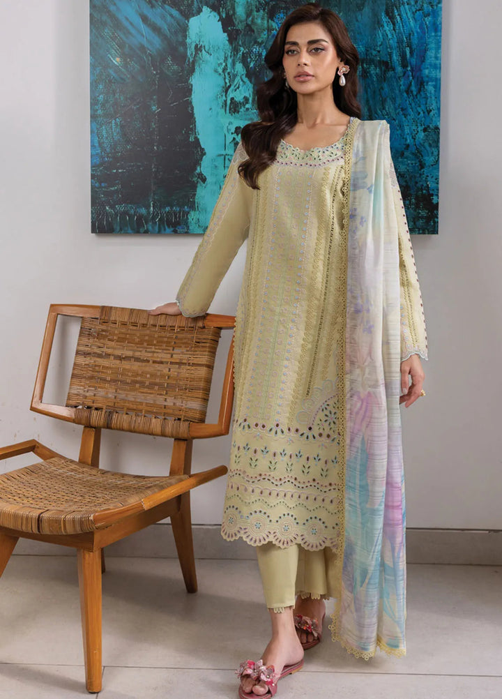 Carnation by Rang Rasiya Embroidered Lawn Unstitched Suits 3 Piece RR25CL D-09 Nora - Festive Collection