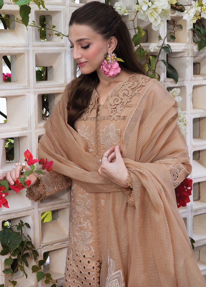 Carnation by Rang Rasiya Embroidered Lawn Unstitched Suits 3 Piece RR25CL D-13 Kaia - Festive Collection