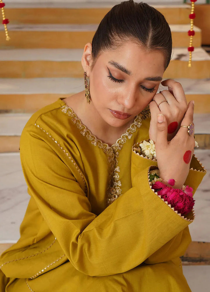 Chandan Nagri Pret Embroidered Lawn 2 Piece Suit Mehandi