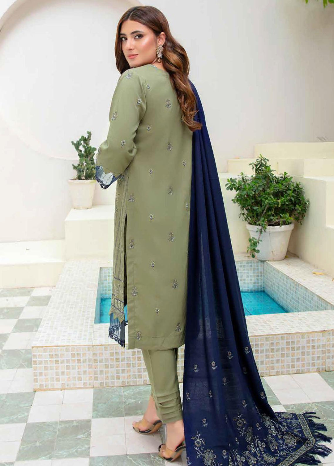 Chantilly De Lace By Aalaya Embroidered Dhanak Suits Unstitched 3 Piece ALY23CDL-V1 D-05 - Winter Collection