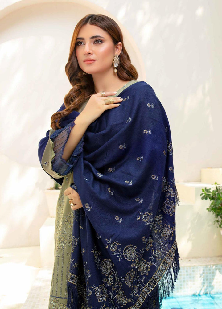 Chantilly De Lace By Aalaya Embroidered Dhanak Suits Unstitched 3 Piece ALY23CDL-V1 D-05 - Winter Collection