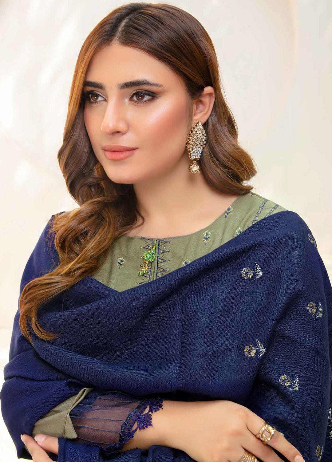 Chantilly De Lace By Aalaya Embroidered Dhanak Suits Unstitched 3 Piece ALY23CDL-V1 D-05 - Winter Collection