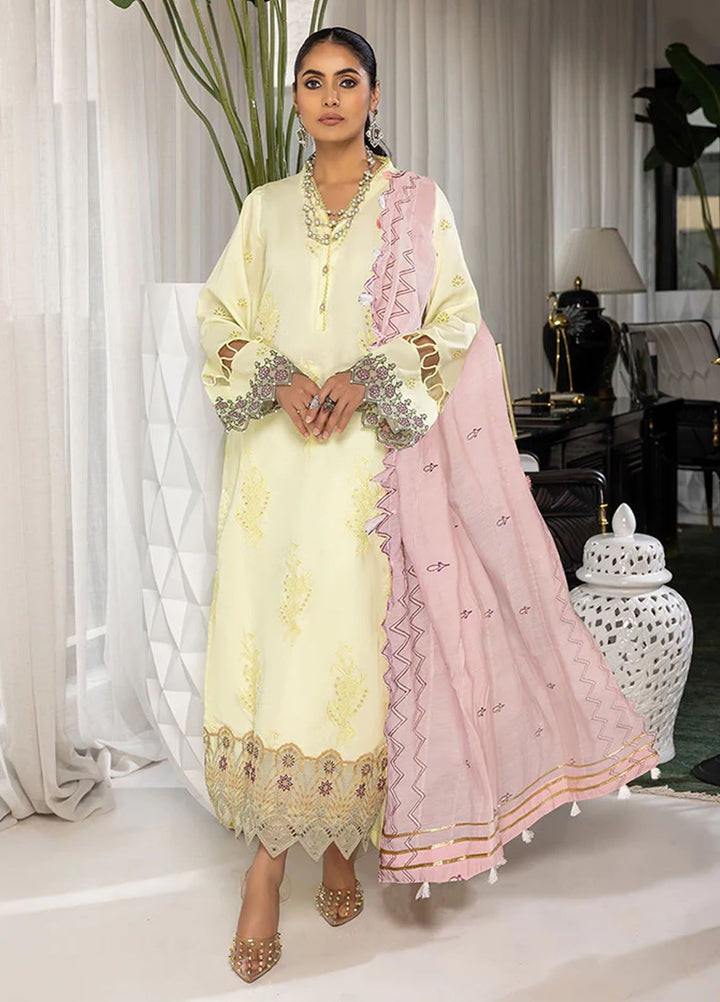 Charlotte by Humdum Chikankari Lawn Suits Unstitched 3 Piece HD24CH D-06 - Summer Collection
