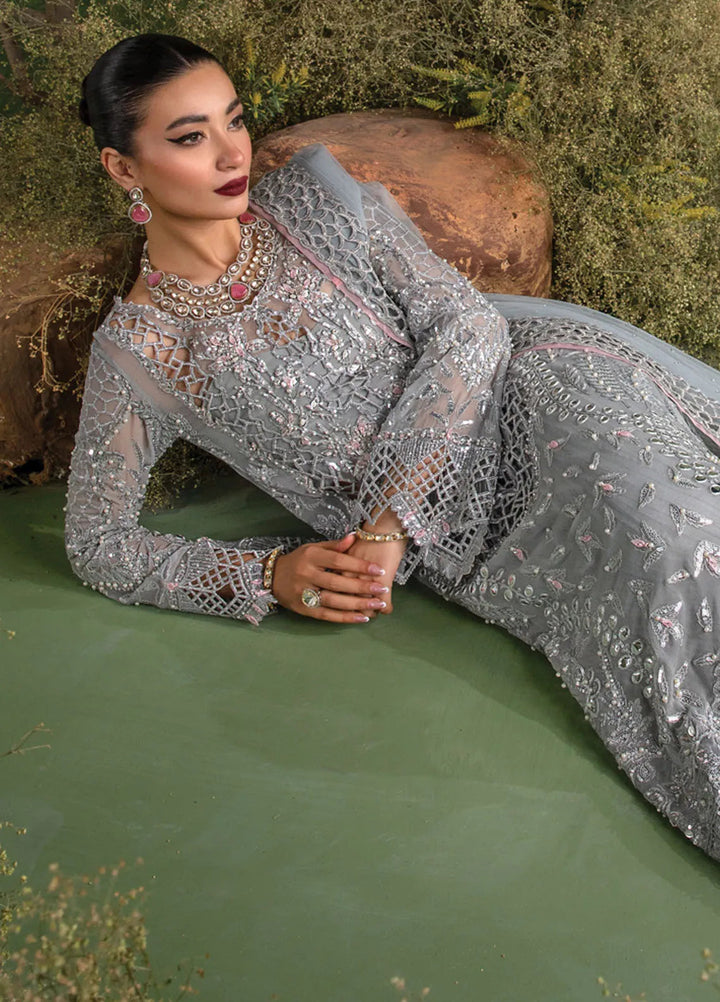 Chatoyer By Rang Rasiya Embroidered Suit Unstitched 4 Piece RR24CW D-02 Deena - Formal Collection