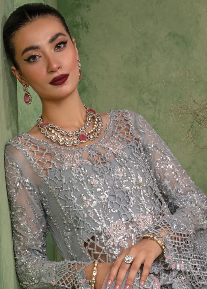 Chatoyer By Rang Rasiya Embroidered Suit Unstitched 4 Piece RR24CW D-02 Deena - Formal Collection