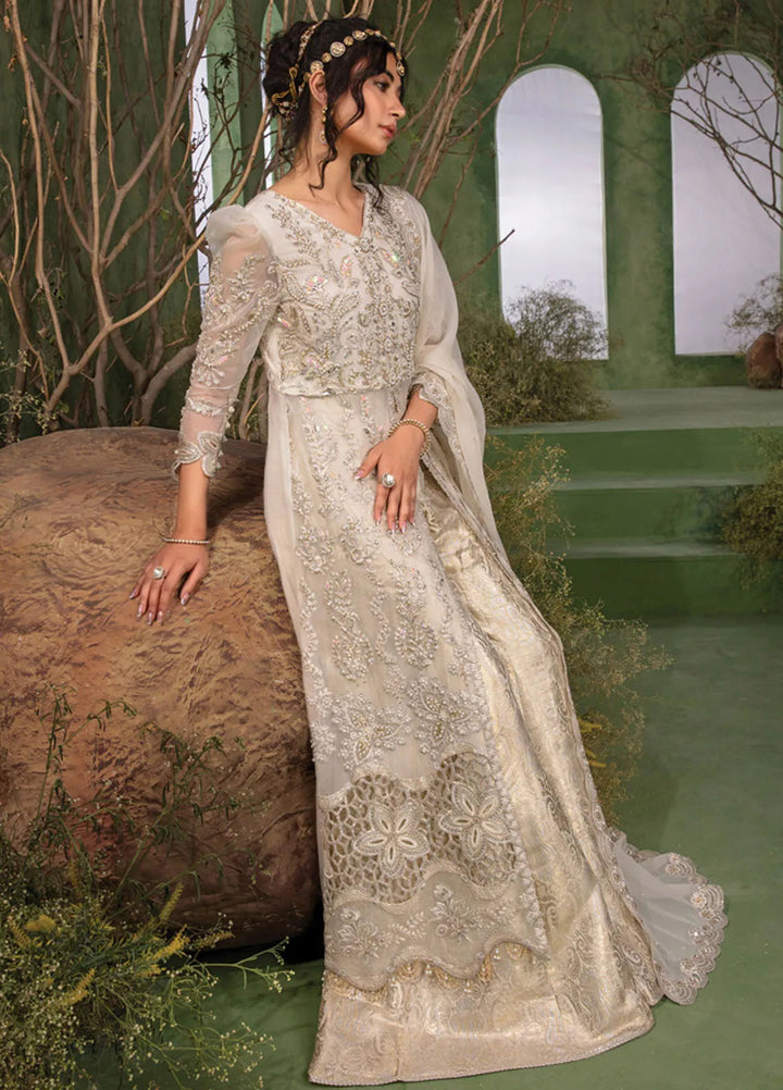 Chatoyer By Rang Rasiya Embroidered Suit Unstitched 4 Piece RR24CW D-07 Noor - Formal Collection