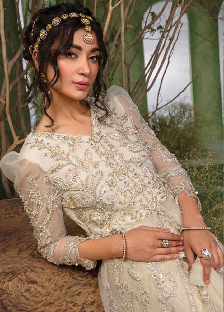 Chatoyer By Rang Rasiya Embroidered Suit Unstitched 4 Piece RR24CW D-07 Noor - Formal Collection