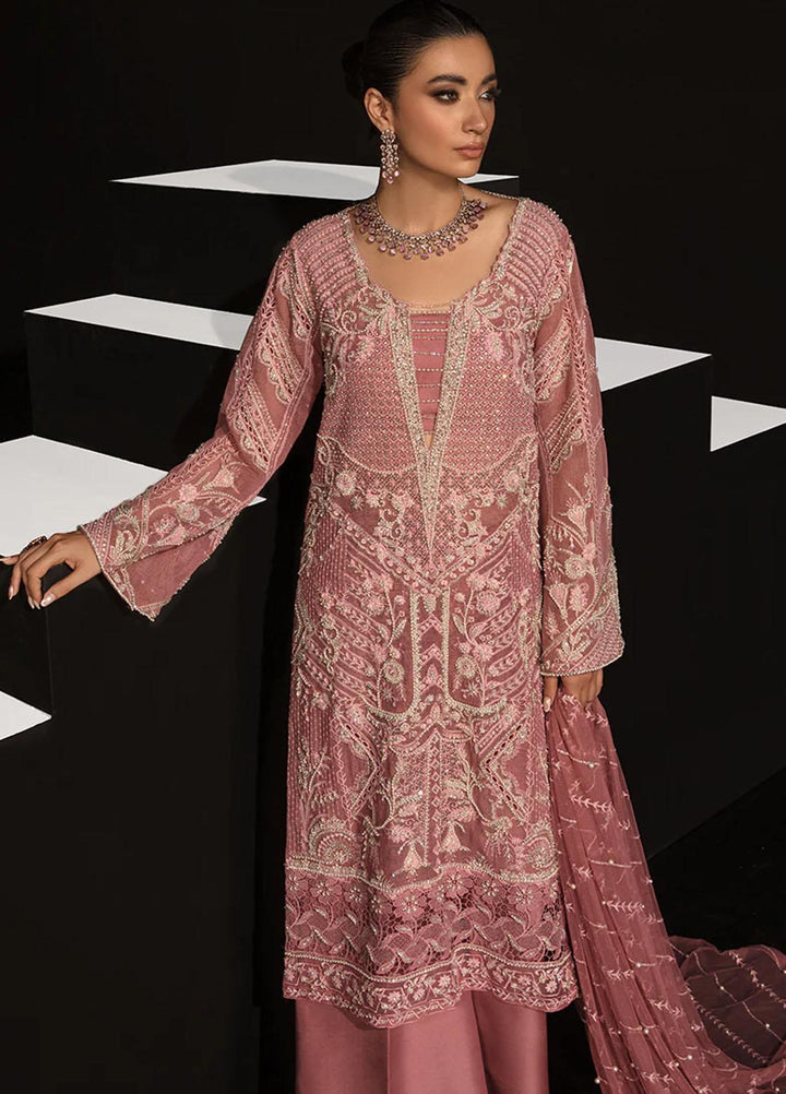 Chatoyer By Rang Rasiya Embroidered Net Suits Unstitched 4 Piece RR23CH D-06 Mariana - Wedding Collection