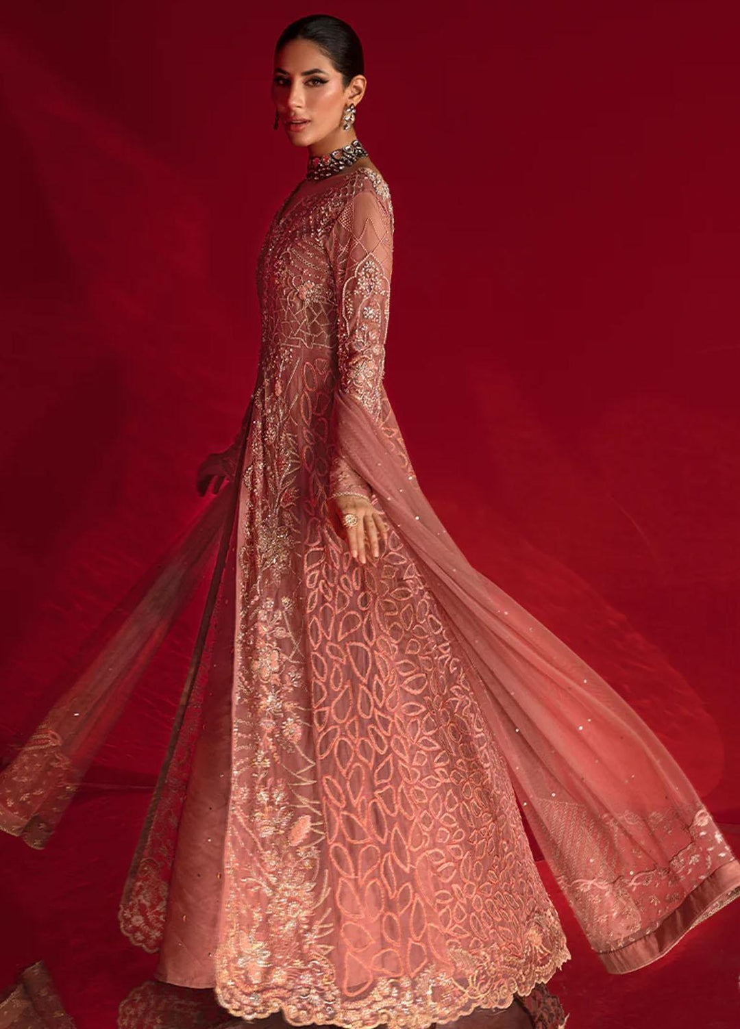 Chatoyer By Rang Rasiya Embroidered Net Suits Unstitched 4 Piece RR23CH D-07 Rosa - Wedding Collection