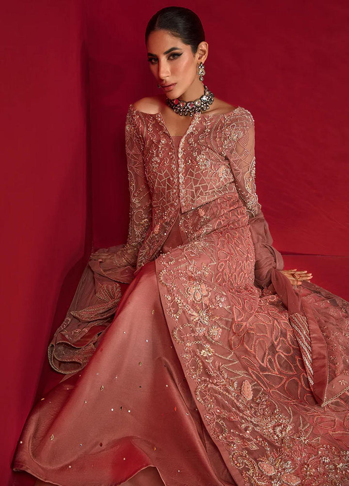Chatoyer By Rang Rasiya Embroidered Net Suits Unstitched 4 Piece RR23CH D-07 Rosa - Wedding Collection