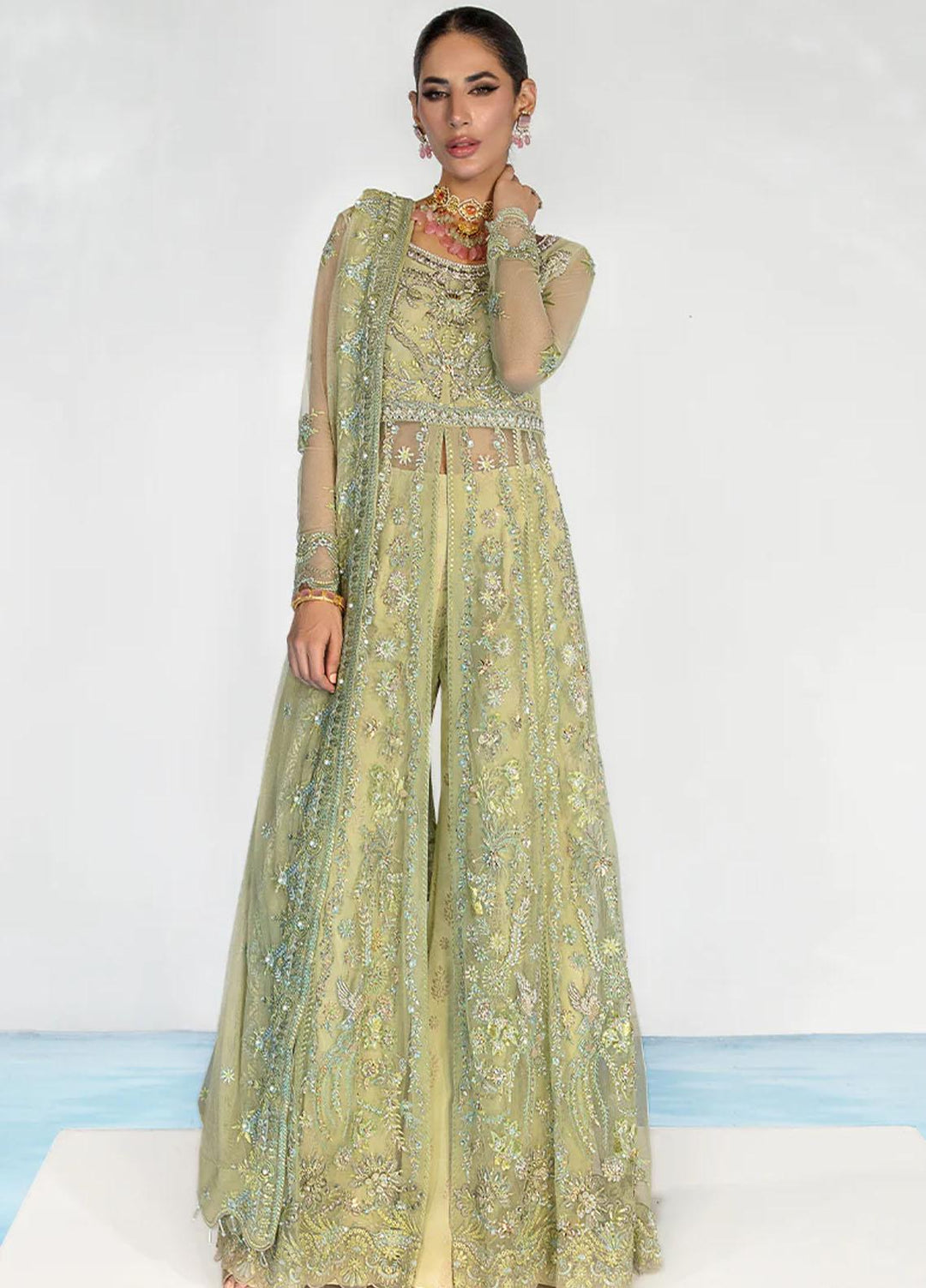 Chatoyer By Rang Rasiya Embroidered Net Suits Unstitched 4 Piece RR23CH D-08 Catalina - Wedding Collection