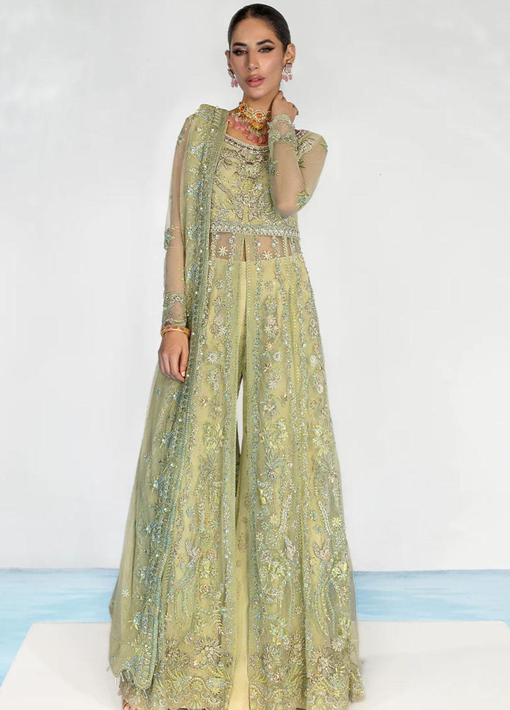 Chatoyer By Rang Rasiya Embroidered Net Suits Unstitched 4 Piece RR23CH D-08 Catalina - Wedding Collection