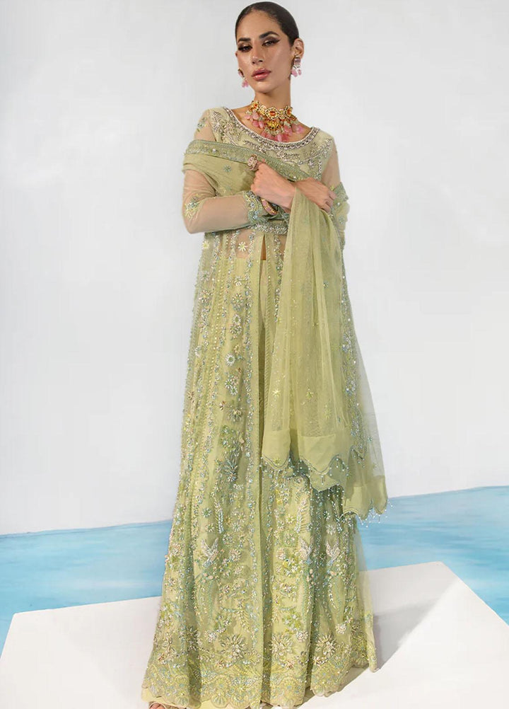 Chatoyer By Rang Rasiya Embroidered Net Suits Unstitched 4 Piece RR23CH D-08 Catalina - Wedding Collection