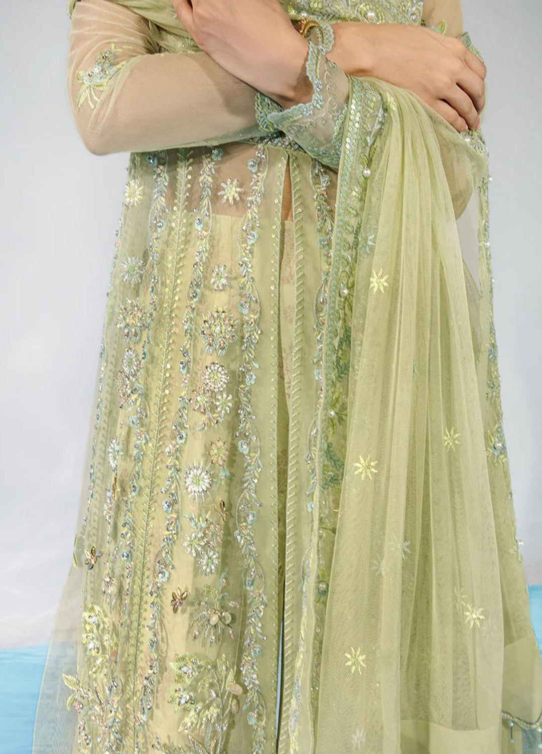 Chatoyer By Rang Rasiya Embroidered Net Suits Unstitched 4 Piece RR23CH D-08 Catalina - Wedding Collection