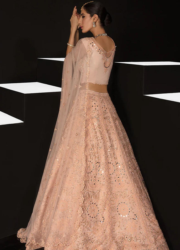 Chatoyer By Rang Rasiya Embroidered Net Suits Unstitched 4 Piece RR23CH D-09 Elena - Wedding Collection