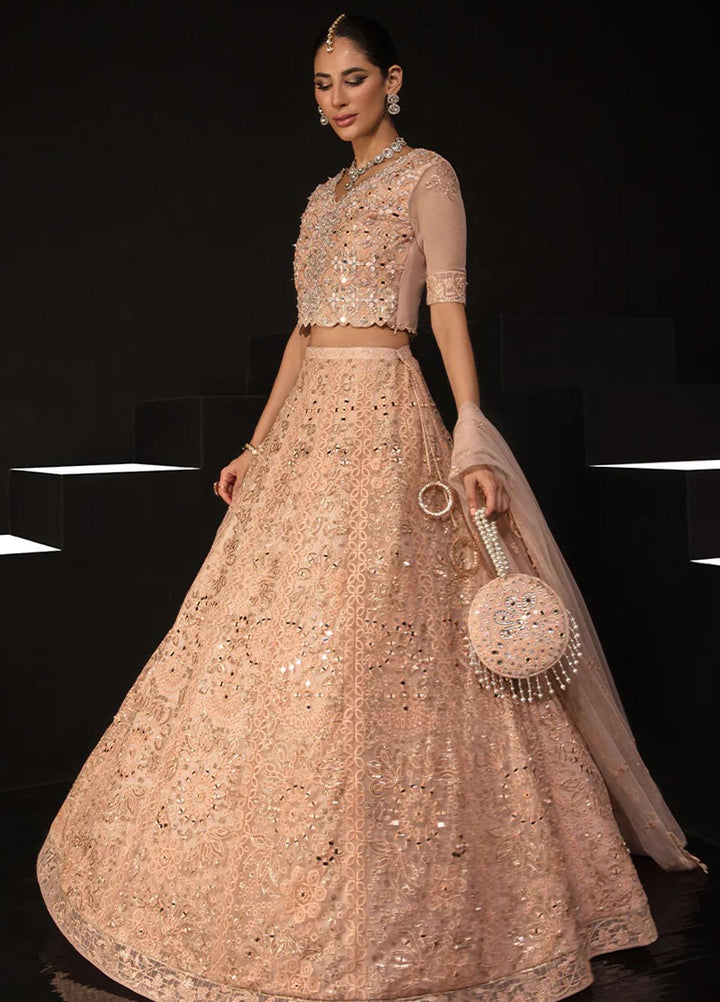 Chatoyer By Rang Rasiya Embroidered Net Suits Unstitched 4 Piece RR23CH D-09 Elena - Wedding Collection