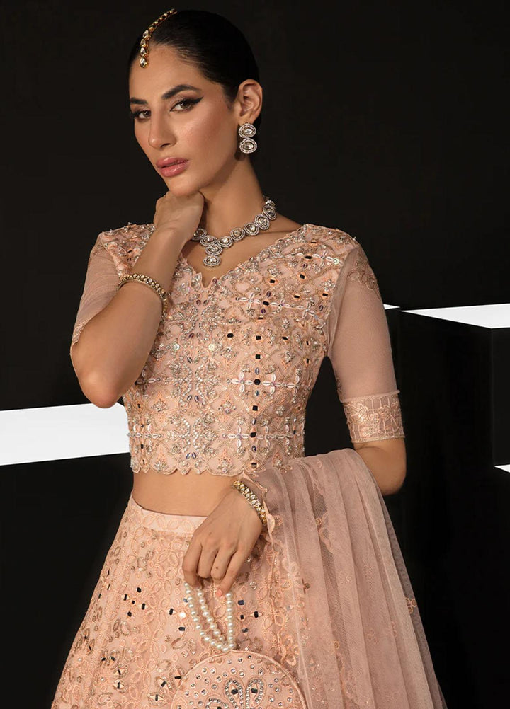 Chatoyer By Rang Rasiya Embroidered Net Suits Unstitched 4 Piece RR23CH D-09 Elena - Wedding Collection