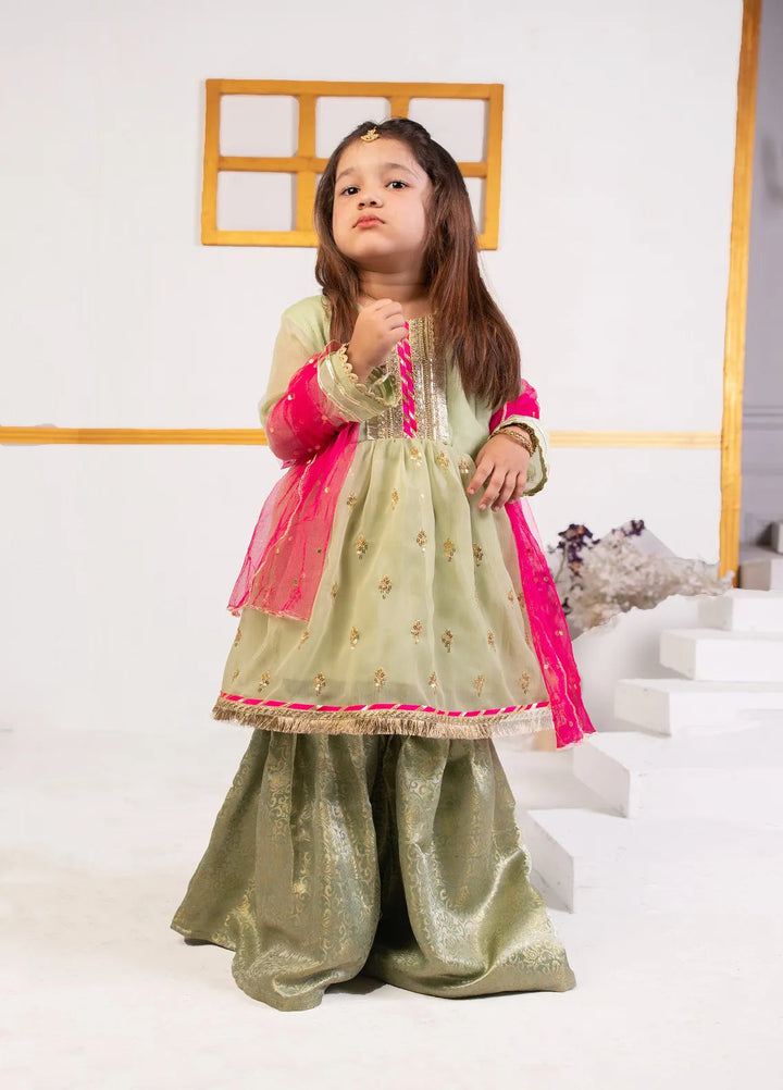 Cheeco Chic Pret Embroidered Chiffon banarsi 3 Piece Suit NCMP22