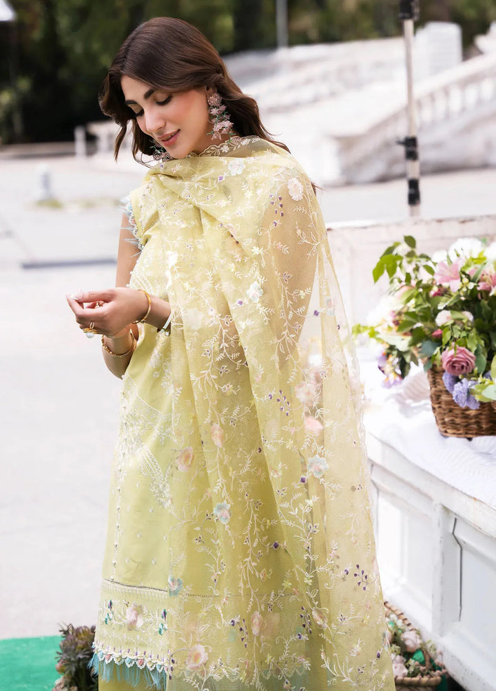 Clara By Bin Ilyas Embroidered Lawn Suit Unstitched 3 Piece BI24C 214B - Summer Collection