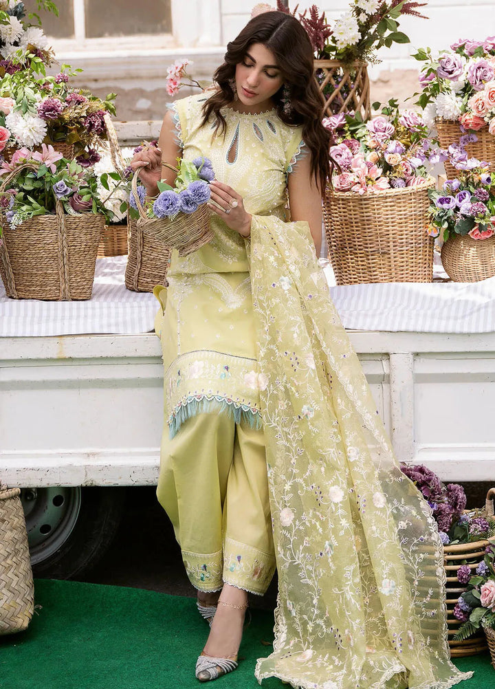 Clara By Bin Ilyas Embroidered Lawn Suit Unstitched 3 Piece BI24C 214B - Summer Collection