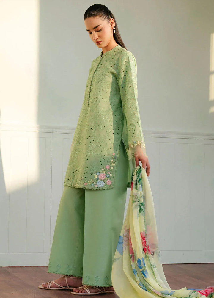 Coco By Zara Shahjahan Embroidered Lawn Suits Unstitched 3 Piece CZS25L D3B Tina - Summer Collection
