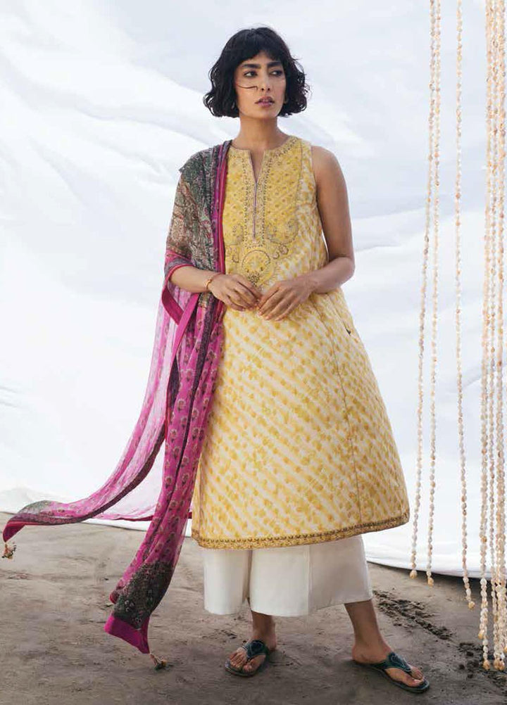 Coco By Zara Shahjahan Embroidered Lawn Suits Unstitched 3 Piece CZS20L 2-B - Spring/Summer Collection