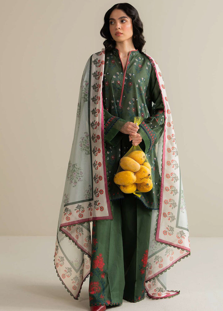 Coco Prints by Zara Shahjahan Printed Lawn Suits Unstitched 3 Piece CZS25PS D-03 A Tinsa - Summer Collection