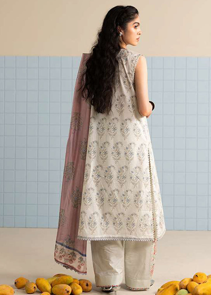 Coco Prints by Zara Shahjahan Printed Lawn Suits Unstitched 3 Piece CZS25PS D-03 B Tinsa - Summer Collection